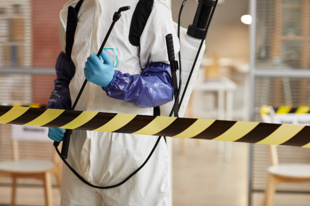 Professional Sewage Cleanup technician working in Lowell, MA